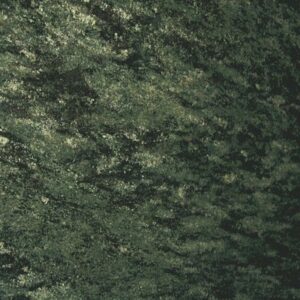 Гранит зеленый, Kashmir green, слэбы
